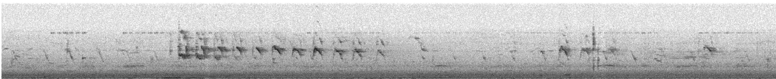 Rose-ringed Parakeet - ML646051638