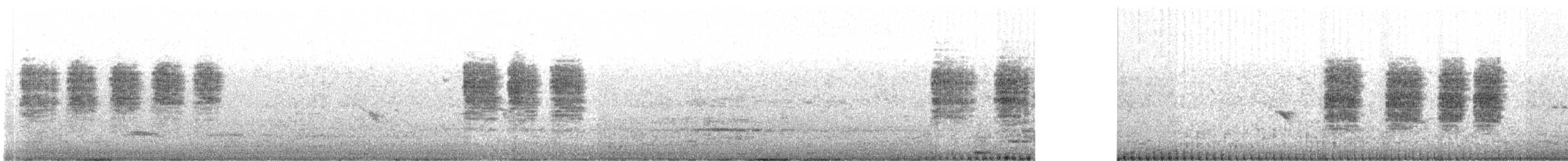 Blyth's Reed Warbler - ML646051653