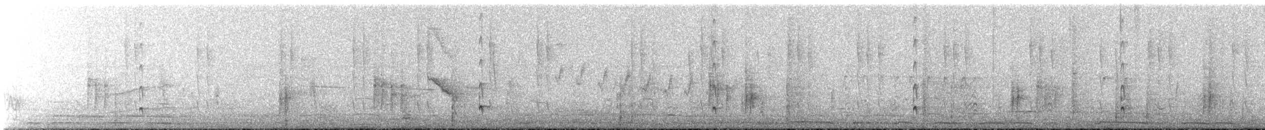 Ash-throated Flycatcher - ML646051886