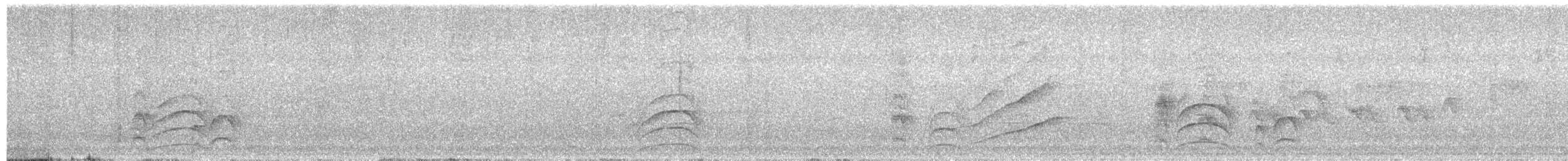 Great Kiskadee - ML646052390