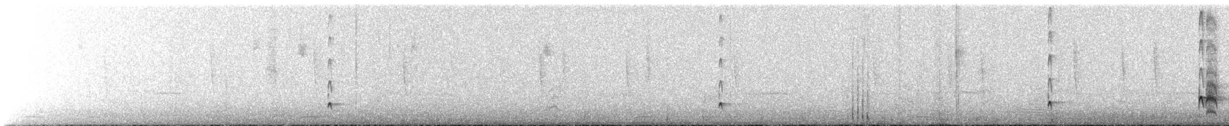 Ash-throated Flycatcher - ML646052435