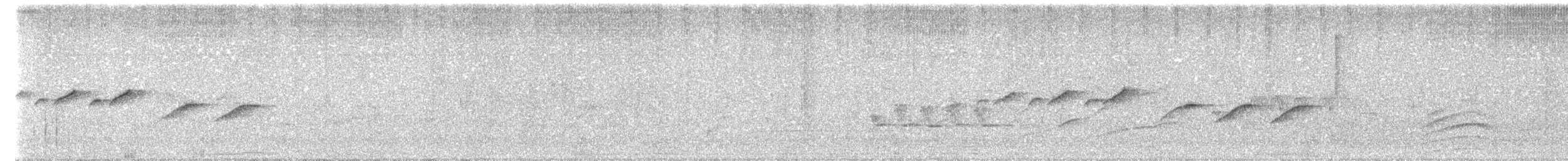 Morelet's Seedeater - ML646052494