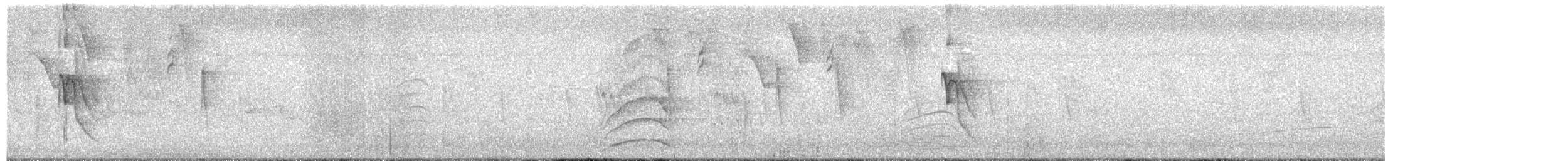 Social Flycatcher - ML646052684