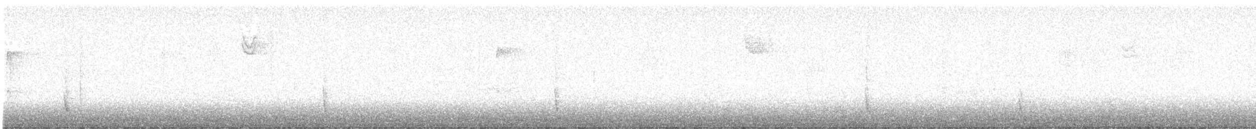 Hermit Thrush - ML646052842