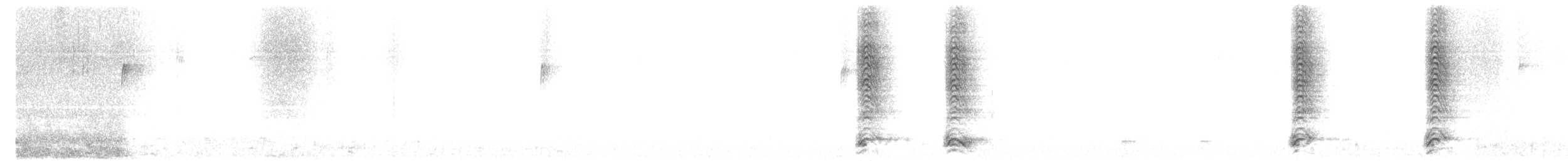 Cuervo Americano - ML646053014