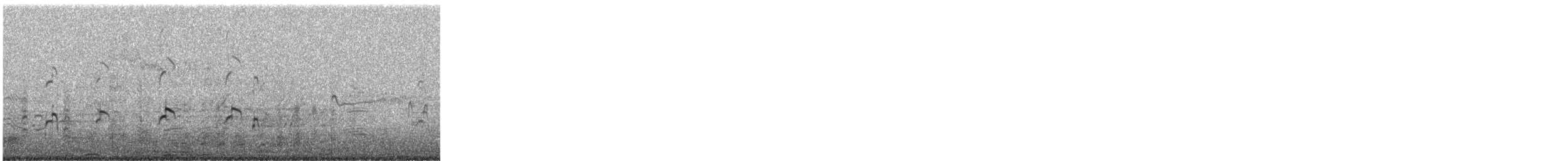 American Avocet - ML646053351