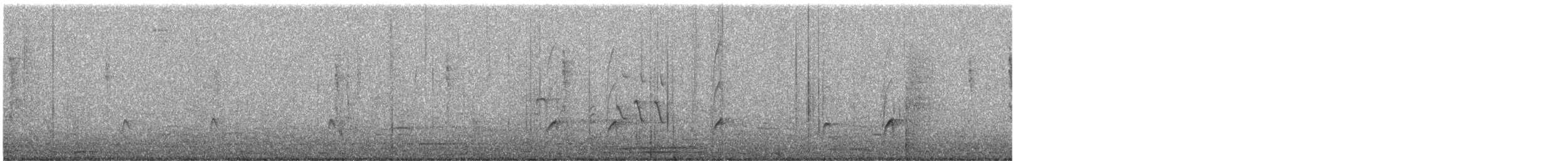 Greater Pewee (Mexican) - ML646053356