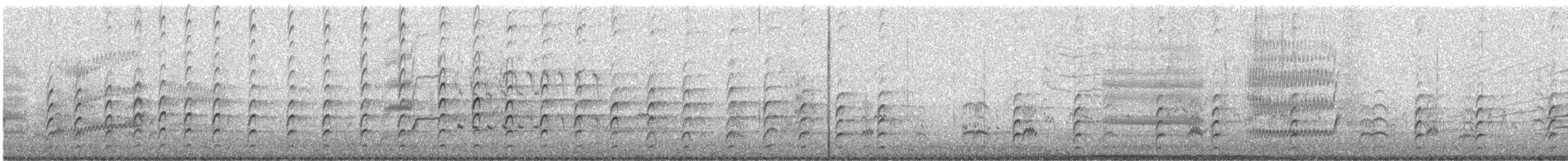 Black-necked Stilt (Black-necked) - ML646053363