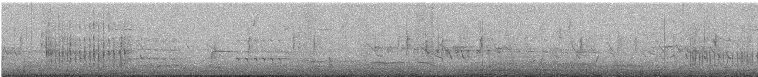 Belted Kingfisher - ML646053366