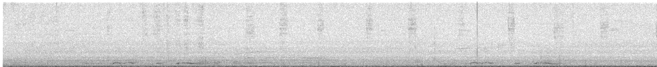 White-winged Dove - ML646053389