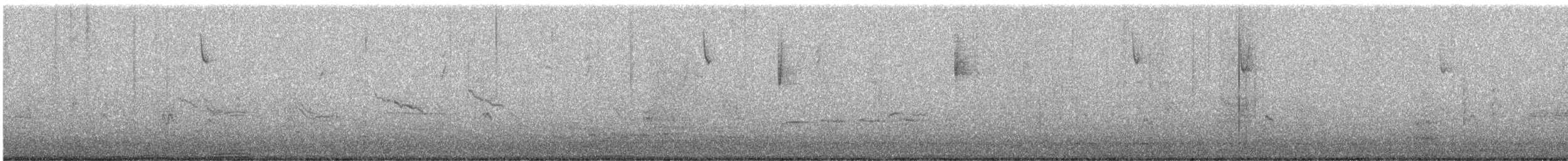 Chipping Sparrow - ML646053403