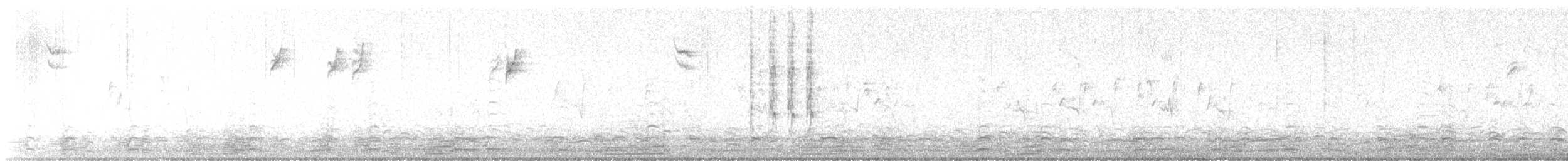 Pine Siskin - ML646054726