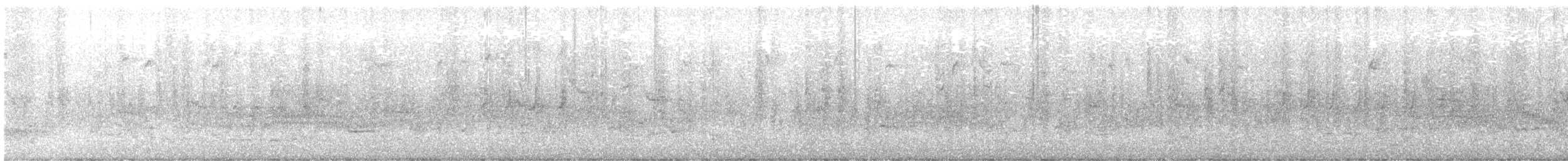 שחרורית אדומת-כנף - ML646054810