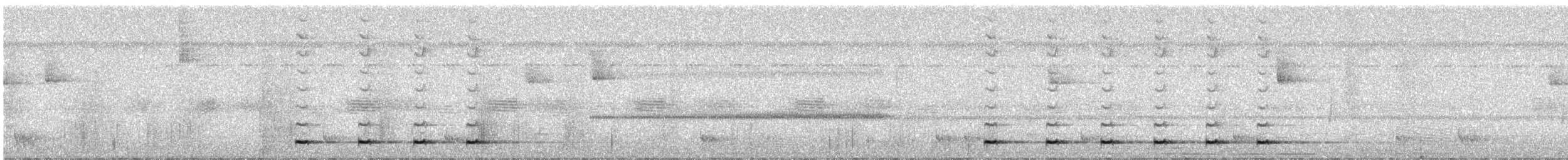 Colima Pygmy-Owl - ML646055036