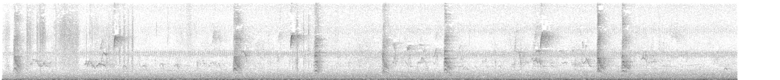 Гіла каролінська - ML646055116