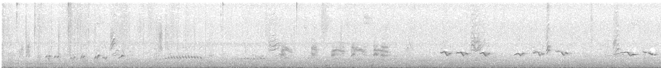 Пересмішник багатоголосий - ML646055580