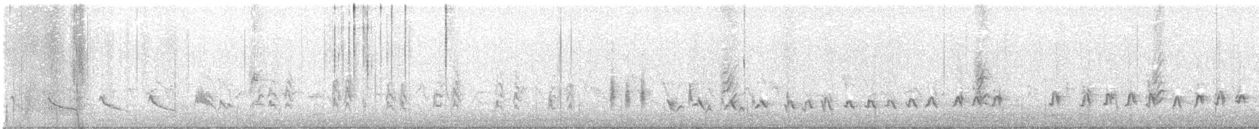 Пересмішник багатоголосий - ML646055581