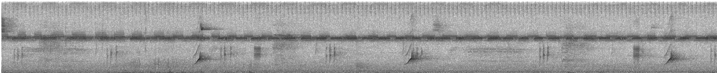 Копетон блідий - ML646055690