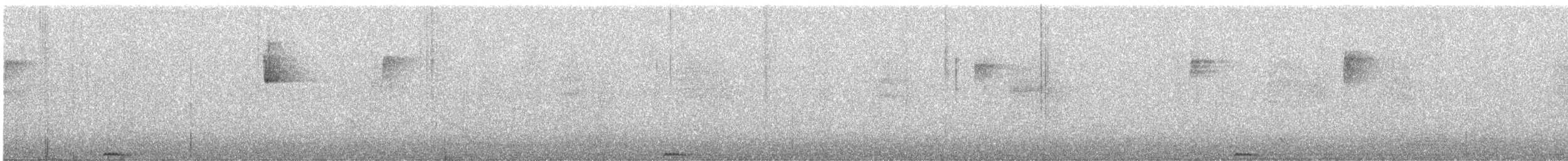 Момот мексиканський - ML646056016