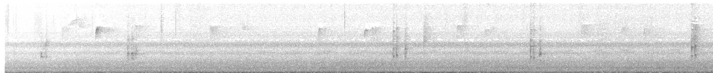 Поплітник каролінський - ML646056453