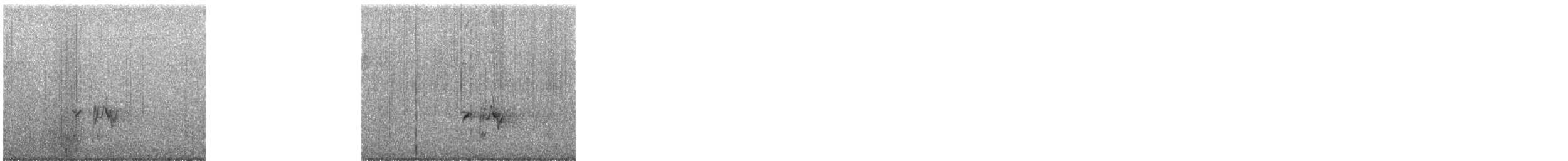 Смеречник тайговий - ML646056503