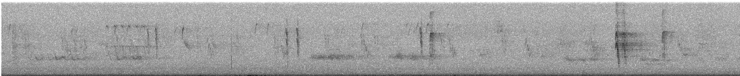 Дятел техаський - ML646056539