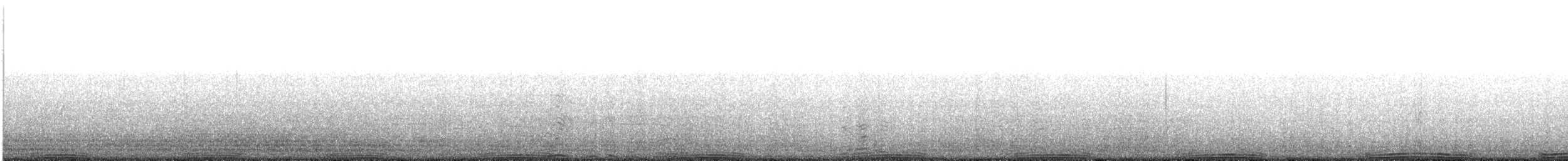 Paloma Bravía (variedad doméstica) - ML646056671