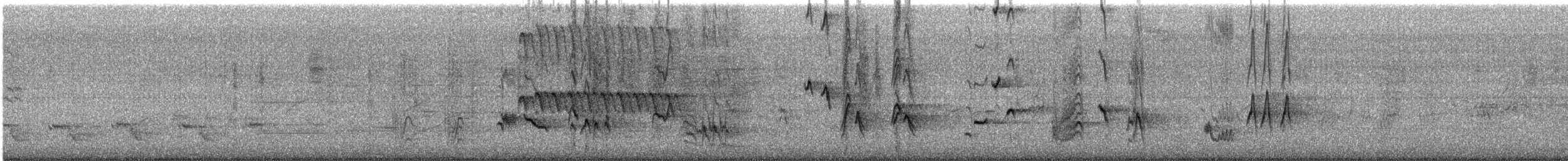 Cuitlacoche Piquicurvo - ML646056683