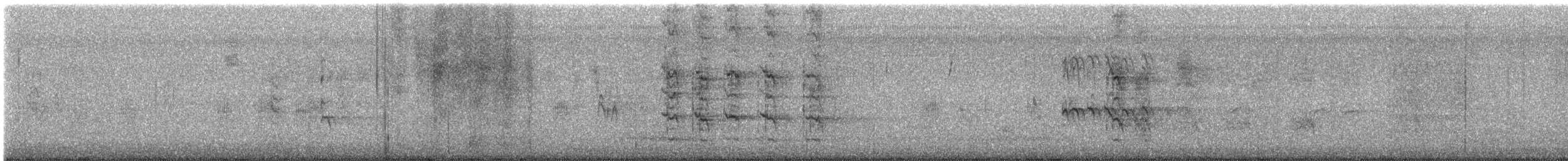 Zanate Mexicano - ML646056696