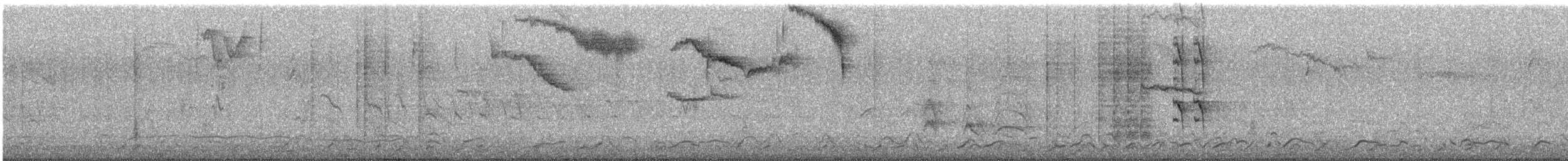 Bronzed Cowbird - ML646057073