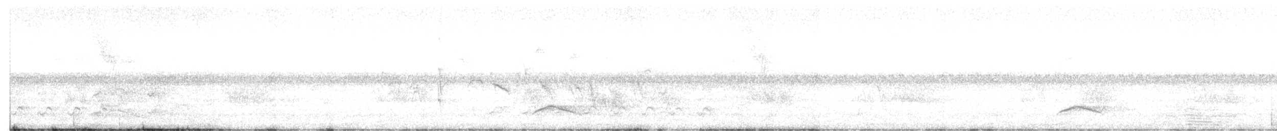 Короткоклювая эления - ML646057247