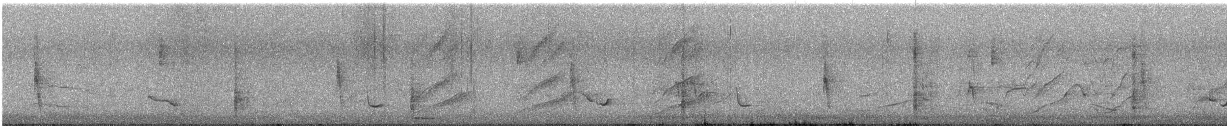 Галстучный трупиал - ML646057249