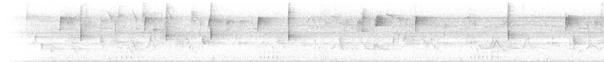 strømparula - ML646057284