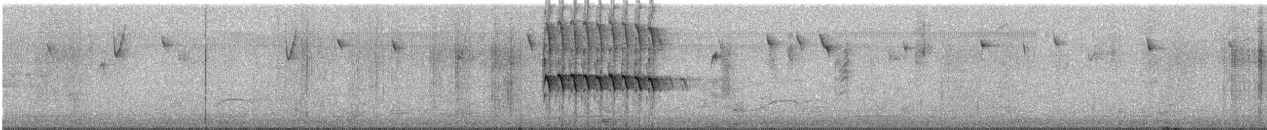 Чернохохлая гренадерка - ML646057365