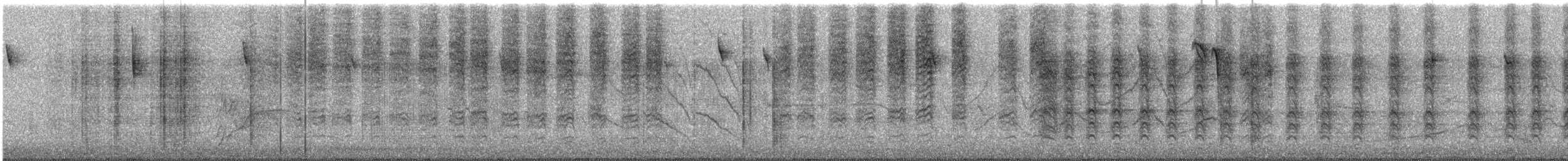 Перуанская сойка - ML646057652