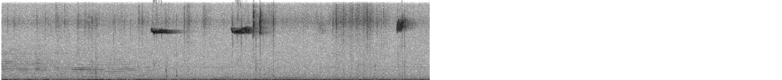 Американская пищуха - ML646057757