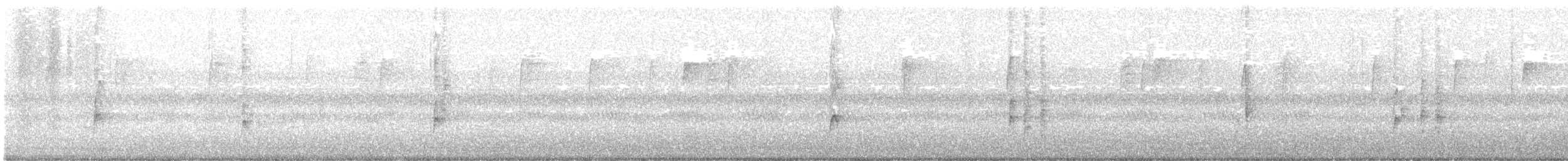 Carolina Wren - ML646057937