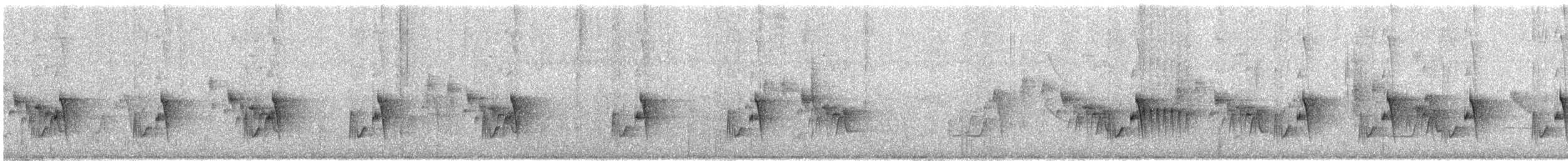 Ashy Tailorbird - ML646058533