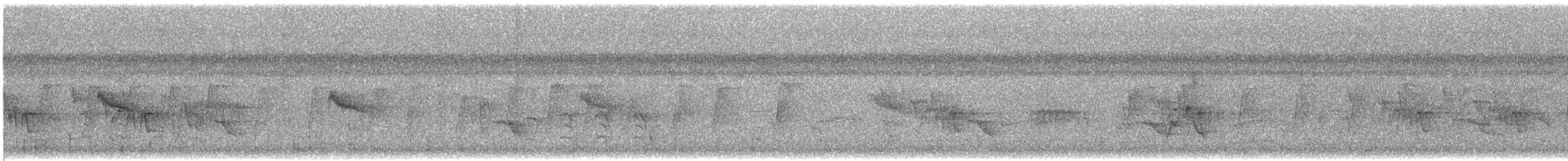 Ashy Tailorbird - ML646058534