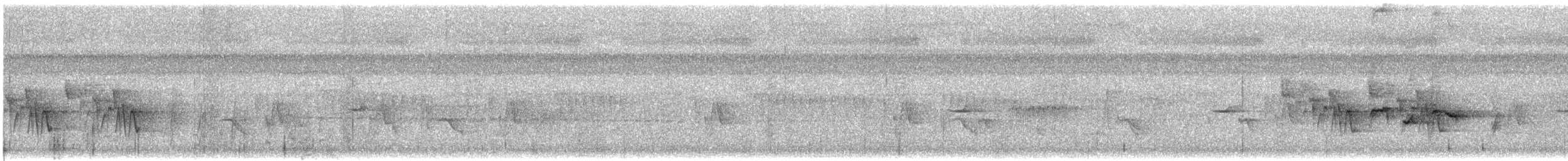 Ashy Tailorbird - ML646058535