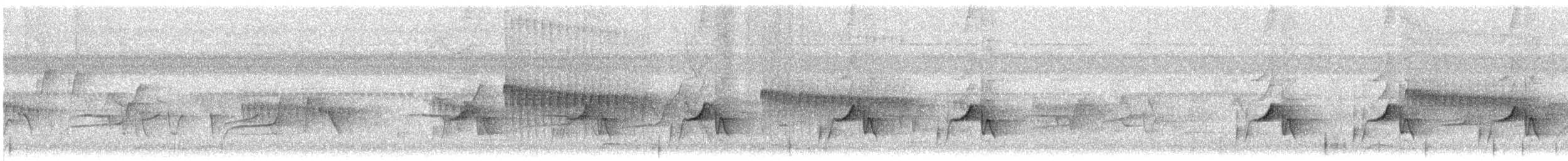 Ashy Tailorbird - ML646058536