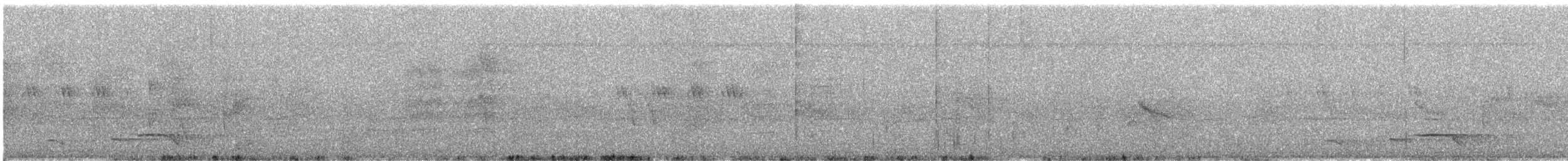 Black-naped Oriole - ML646058568