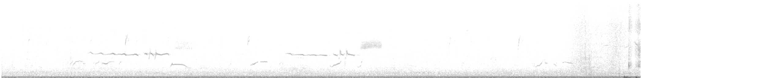 LeConte's Thrasher - ML646059163