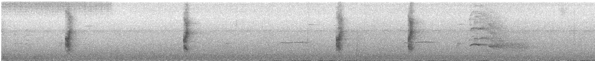 Thrush-like Wren - ML646060299