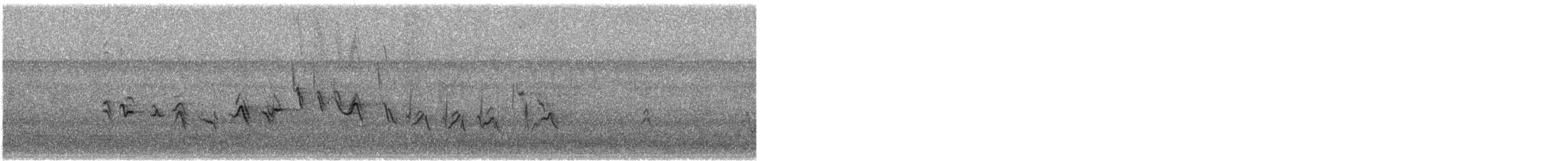 Мексиканская чечевица - ML646060622