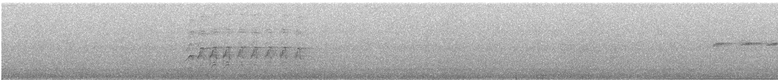 Начин шонхор - ML646060703