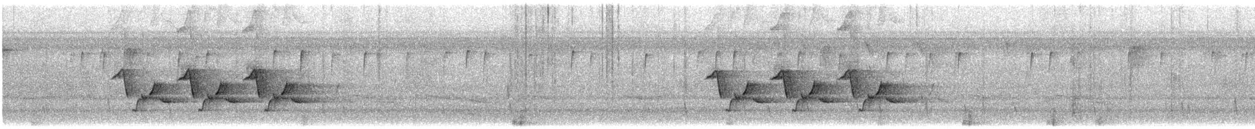 Carolina Wren - ML646060781