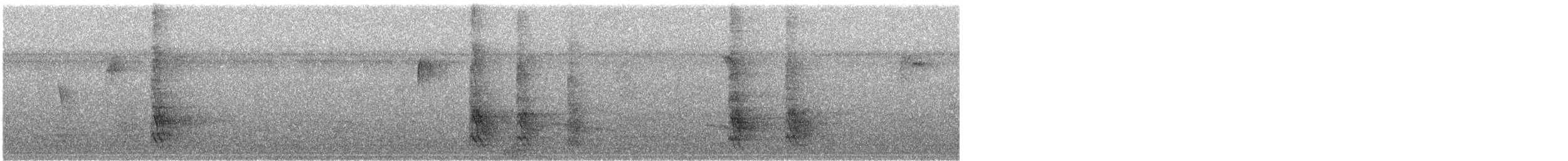 Red-bellied Woodpecker - ML646060997