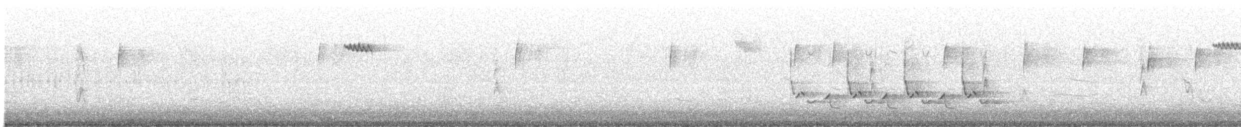 Brown Creeper - ML646061275