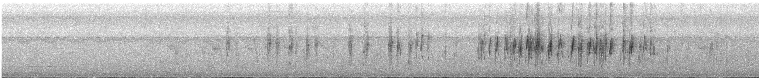 Pacific Parrotlet - ML646061349